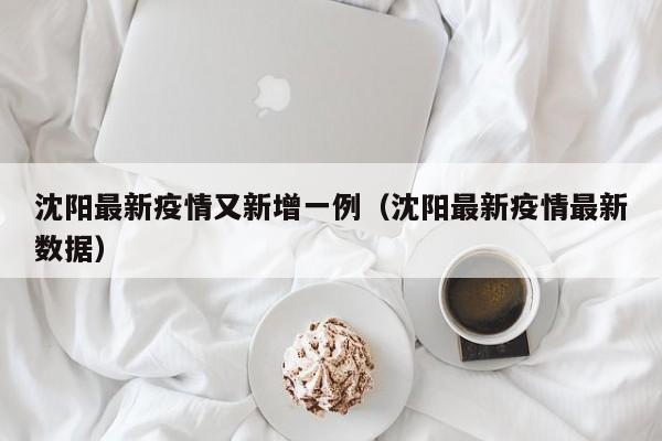 沈阳最新疫情又新增一例（沈阳最新疫情最新数据）