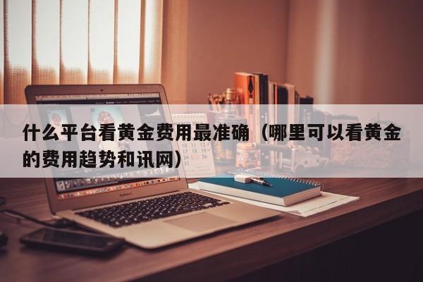 什么平台看黄金费用最准确（哪里可以看黄金的费用趋势和讯网）