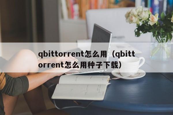 qbittorrent怎么用（qbittorrent怎么用种子下载）