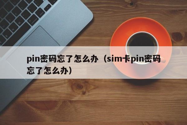 pin密码忘了怎么办（sim卡pin密码忘了怎么办）