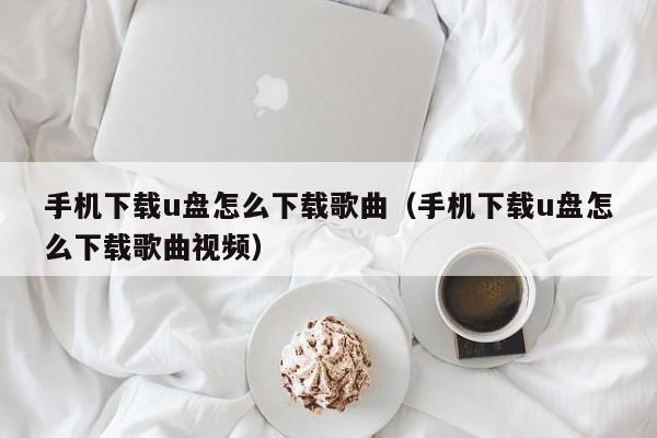 手机下载u盘怎么下载歌曲（手机下载u盘怎么下载歌曲视频）