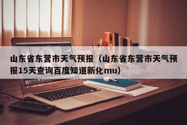 山东省东营市天气预报（山东省东营市天气预报15天查询百度知道新化mu）