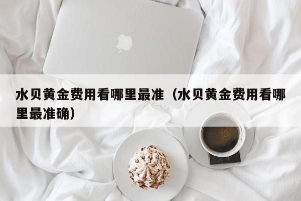 水贝黄金费用看哪里最准（水贝黄金费用看哪里最准确）