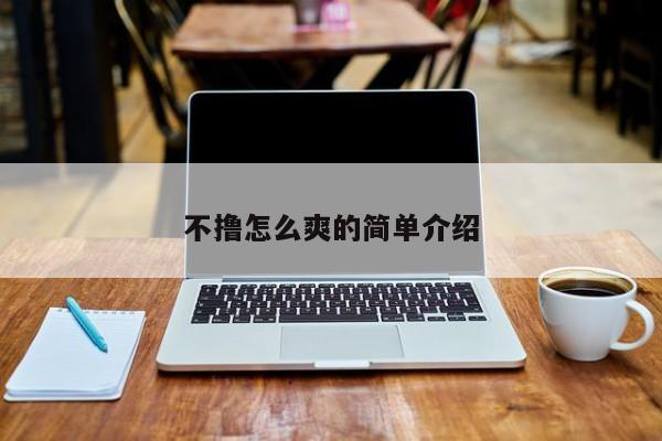 不撸怎么爽的简单介绍