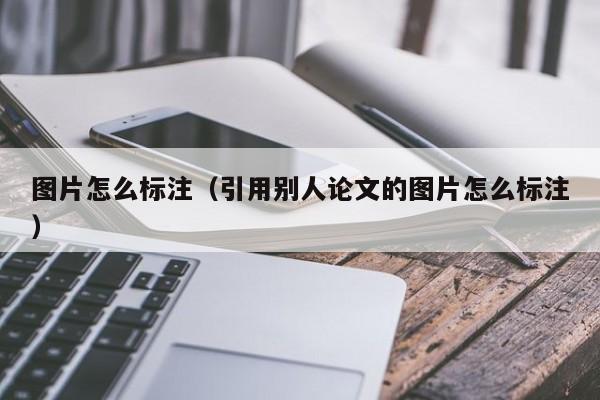 图片怎么标注（引用别人论文的图片怎么标注）