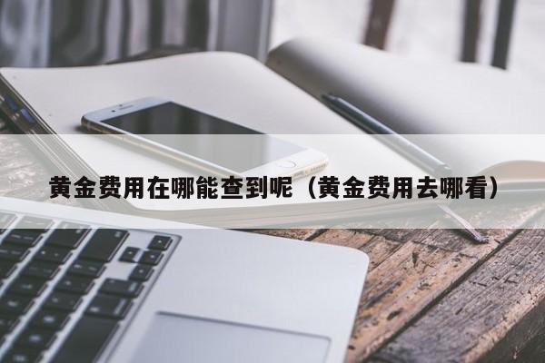 黄金费用在哪能查到呢（黄金费用去哪看）