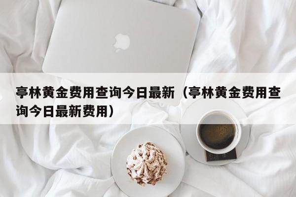 亭林黄金费用查询今日最新（亭林黄金费用查询今日最新费用）