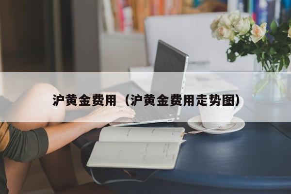 沪黄金费用（沪黄金费用走势图）