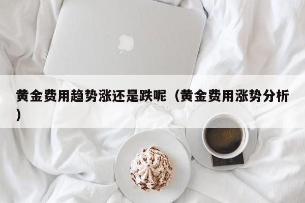 黄金费用趋势涨还是跌呢（黄金费用涨势分析）