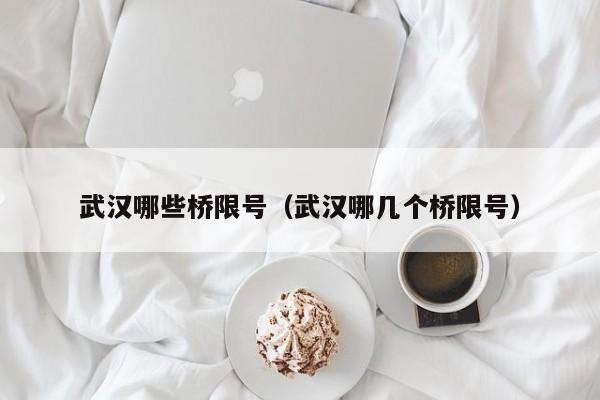 武汉哪些桥限号（武汉哪几个桥限号）