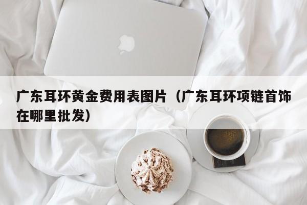 广东耳环黄金费用表图片（广东耳环项链首饰在哪里批发）