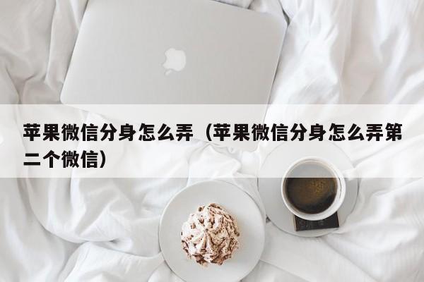 苹果微信分身怎么弄（苹果微信分身怎么弄第二个微信）
