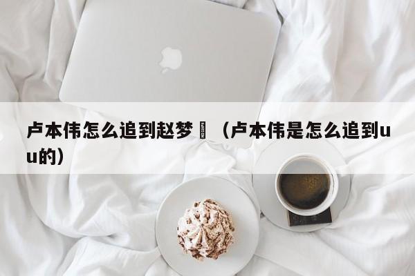 卢本伟怎么追到赵梦玥（卢本伟是怎么追到uu的）