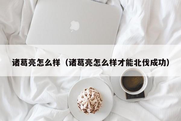 诸葛亮怎么样（诸葛亮怎么样才能北伐成功）