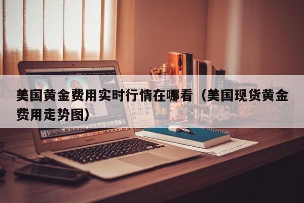 美国黄金费用实时行情在哪看（美国现货黄金费用走势图）
