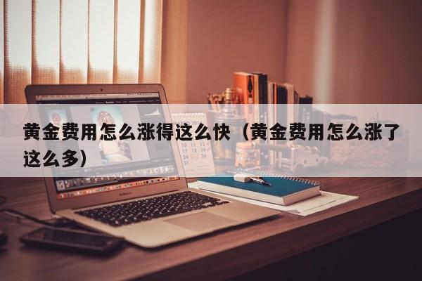 黄金费用怎么涨得这么快（黄金费用怎么涨了这么多）