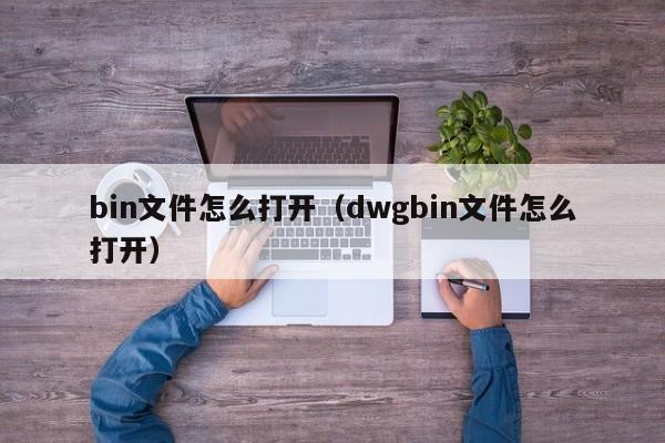 bin文件怎么打开（dwgbin文件怎么打开）