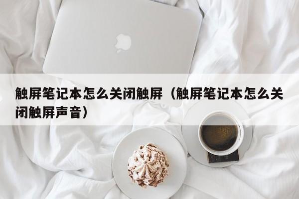 触屏笔记本怎么关闭触屏（触屏笔记本怎么关闭触屏声音）