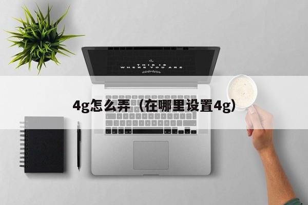 4g怎么弄（在哪里设置4g）