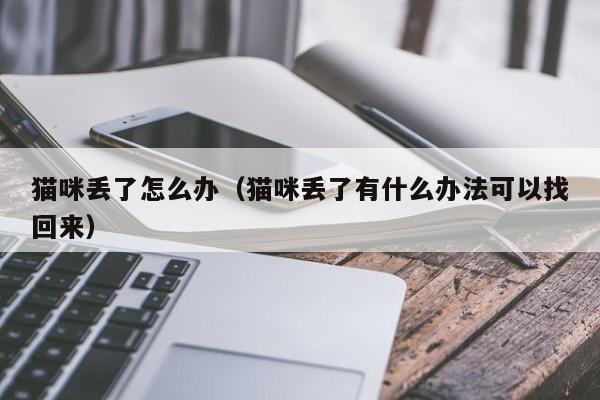 猫咪丢了怎么办（猫咪丢了有什么办法可以找回来）