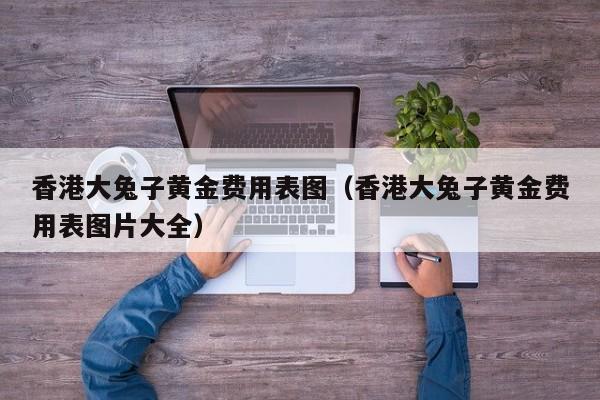 香港大兔子黄金费用表图（香港大兔子黄金费用表图片大全）