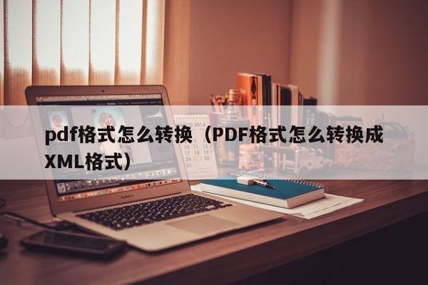 pdf格式怎么转换（PDF格式怎么转换成XML格式）