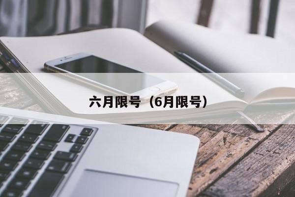 六月限号（6月限号）