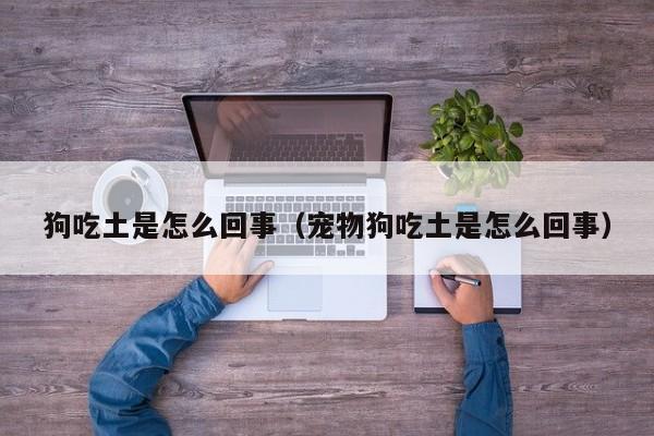 狗吃土是怎么回事（宠物狗吃土是怎么回事）