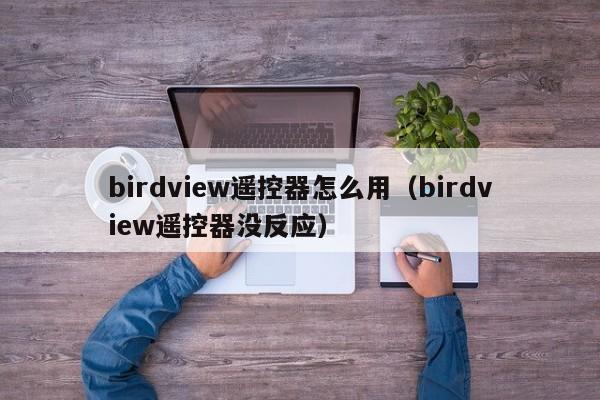 birdview遥控器怎么用（birdview遥控器没反应）
