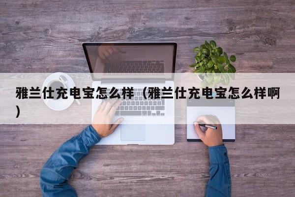 雅兰仕充电宝怎么样（雅兰仕充电宝怎么样啊）