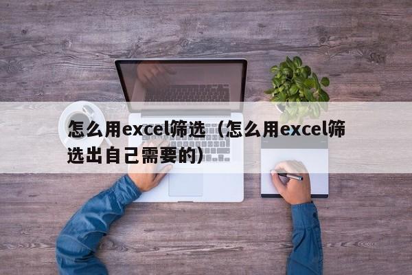 怎么用excel筛选（怎么用excel筛选出自己需要的）