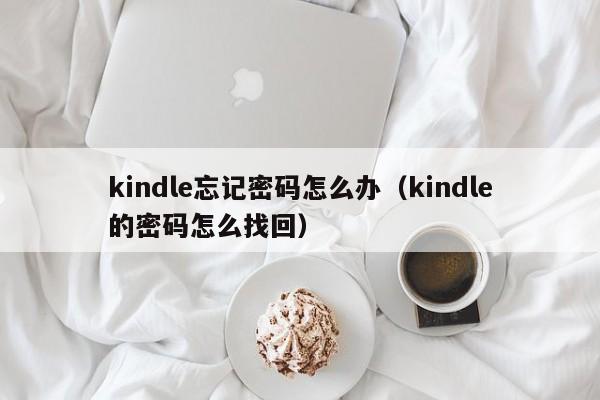 kindle忘记密码怎么办（kindle的密码怎么找回）