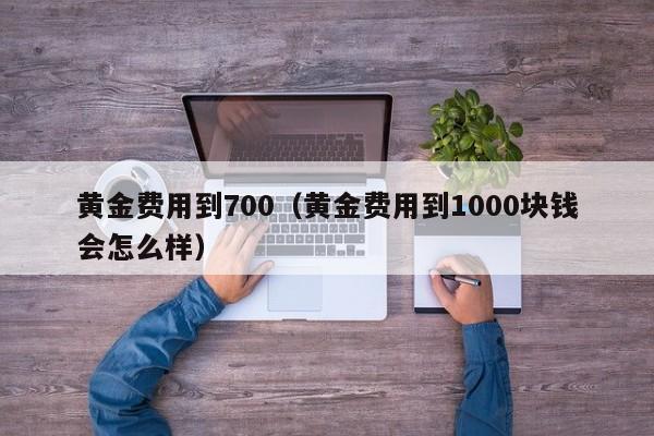 黄金费用到700（黄金费用到1000块钱会怎么样）