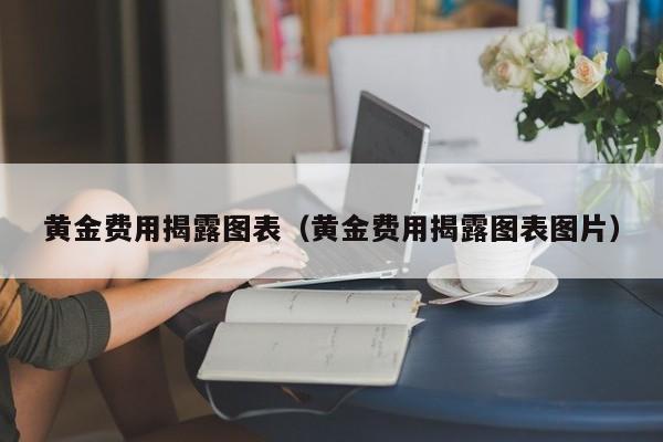 黄金费用揭露图表（黄金费用揭露图表图片）