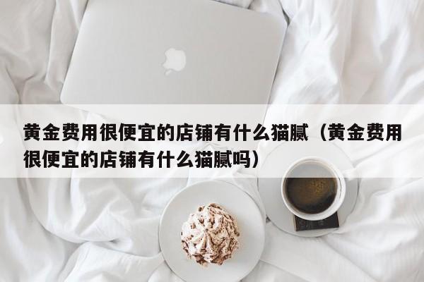 黄金费用很便宜的店铺有什么猫腻（黄金费用很便宜的店铺有什么猫腻吗）