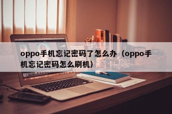 oppo手机忘记密码了怎么办（oppo手机忘记密码怎么刷机）
