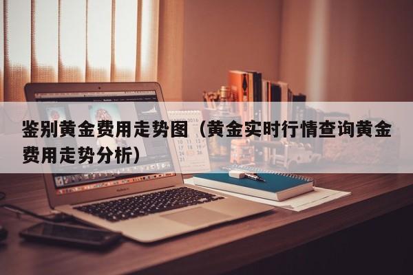 鉴别黄金费用走势图（黄金实时行情查询黄金费用走势分析）