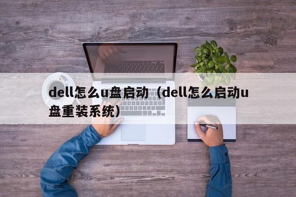 dell怎么u盘启动（dell怎么启动u盘重装系统）