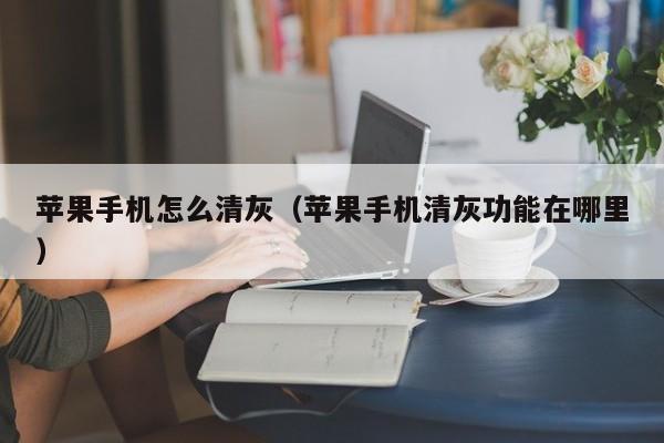 苹果手机怎么清灰（苹果手机清灰功能在哪里）