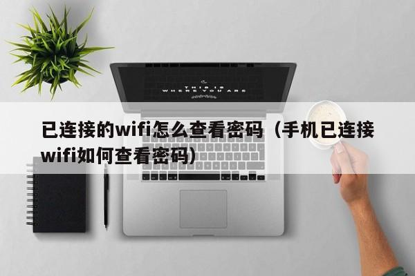 已连接的wifi怎么查看密码(手机已连接wifi如何查看密码)