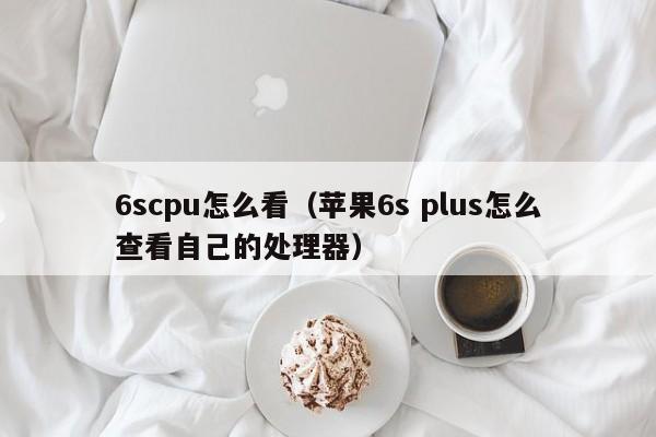 6scpu怎么看（苹果6s plus怎么查看自己的处理器）