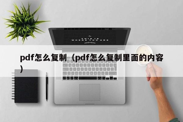 pdf怎么复制（pdf怎么复制里面的内容）