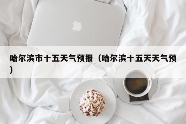 哈尔滨市十五天气预报（哈尔滨十五天天气预）
