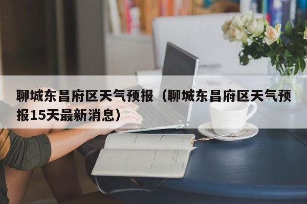 聊城东昌府区天气预报（聊城东昌府区天气预报15天最新消息）