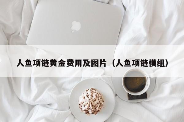 人鱼项链黄金费用及图片（人鱼项链模组）