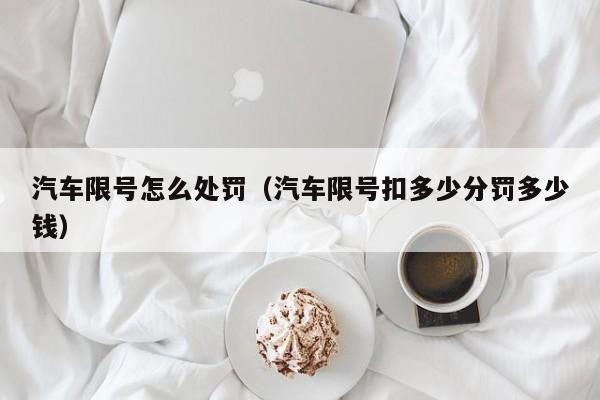 汽车限号怎么处罚（汽车限号扣多少分罚多少钱）