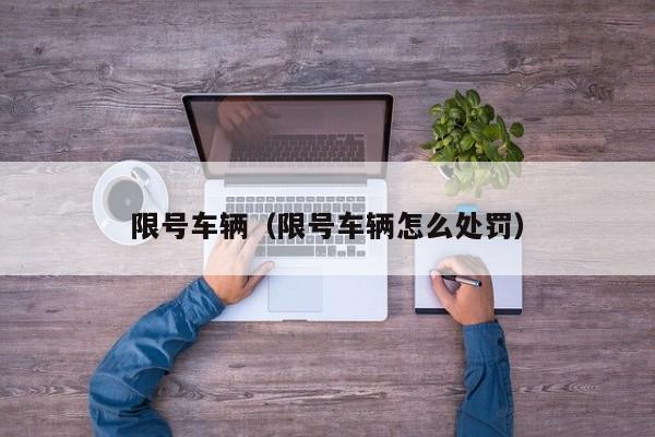 限号车辆（限号车辆怎么处罚）