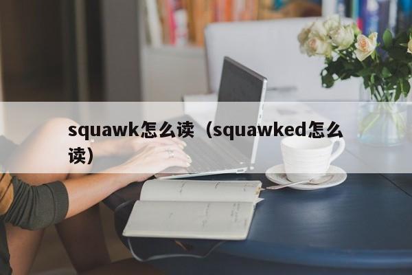 squawk怎么读（squawked怎么读）