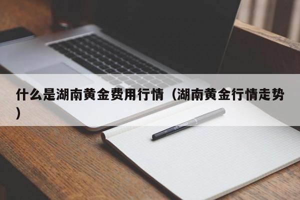 什么是湖南黄金费用行情（湖南黄金行情走势）