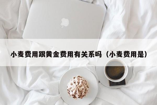 小麦费用跟黄金费用有关系吗（小麦费用是）
